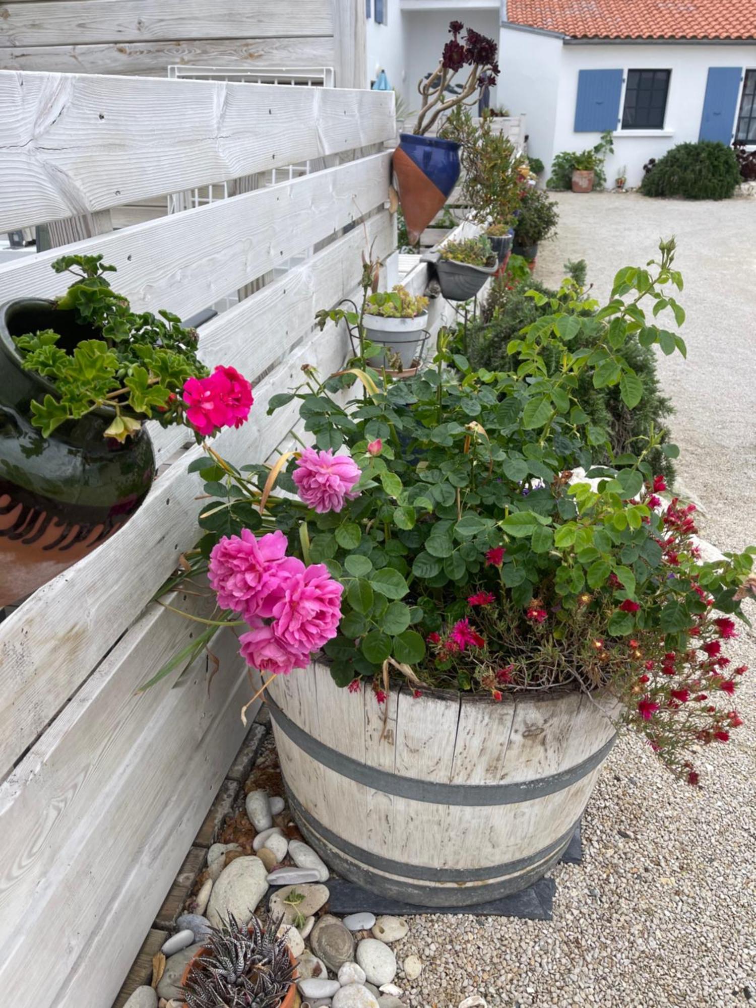 Clos Des Aigrettes -6 Gites De Charme Et Confort A 30M Du Port De La Cotiniere Exterior photo
